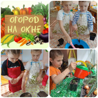 «Чудо-огород на окне» «Чудо-огород на окне».